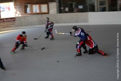 Meisterschaftsspiel gegen SC Seuzach Dragons I (04.05.2008)