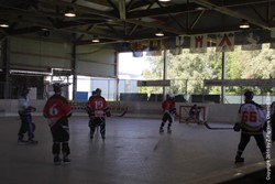 Meisterschaftsspiel gegen HC Seetal (29.05.2011)