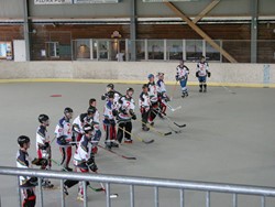 Meisterschaftsspiel gegen HC Seetal (07.05.2006)