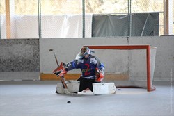 Meisterschaftsspiel gegen HC Laupersdorf (31.03.2012)