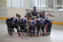 Meisterschaftsspiel gegen Rüschlikon Piranhas II (29.06.2013)