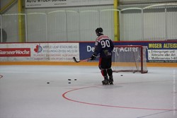 Playofffinal gegen Hünenberg (14.07.2013)