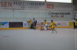 Meisterschaft-Halbfinal gegen ihcSF Linth