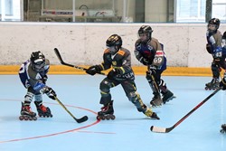Cupfinal Moskito vs. ihcSF Linth (15.12.2018)
